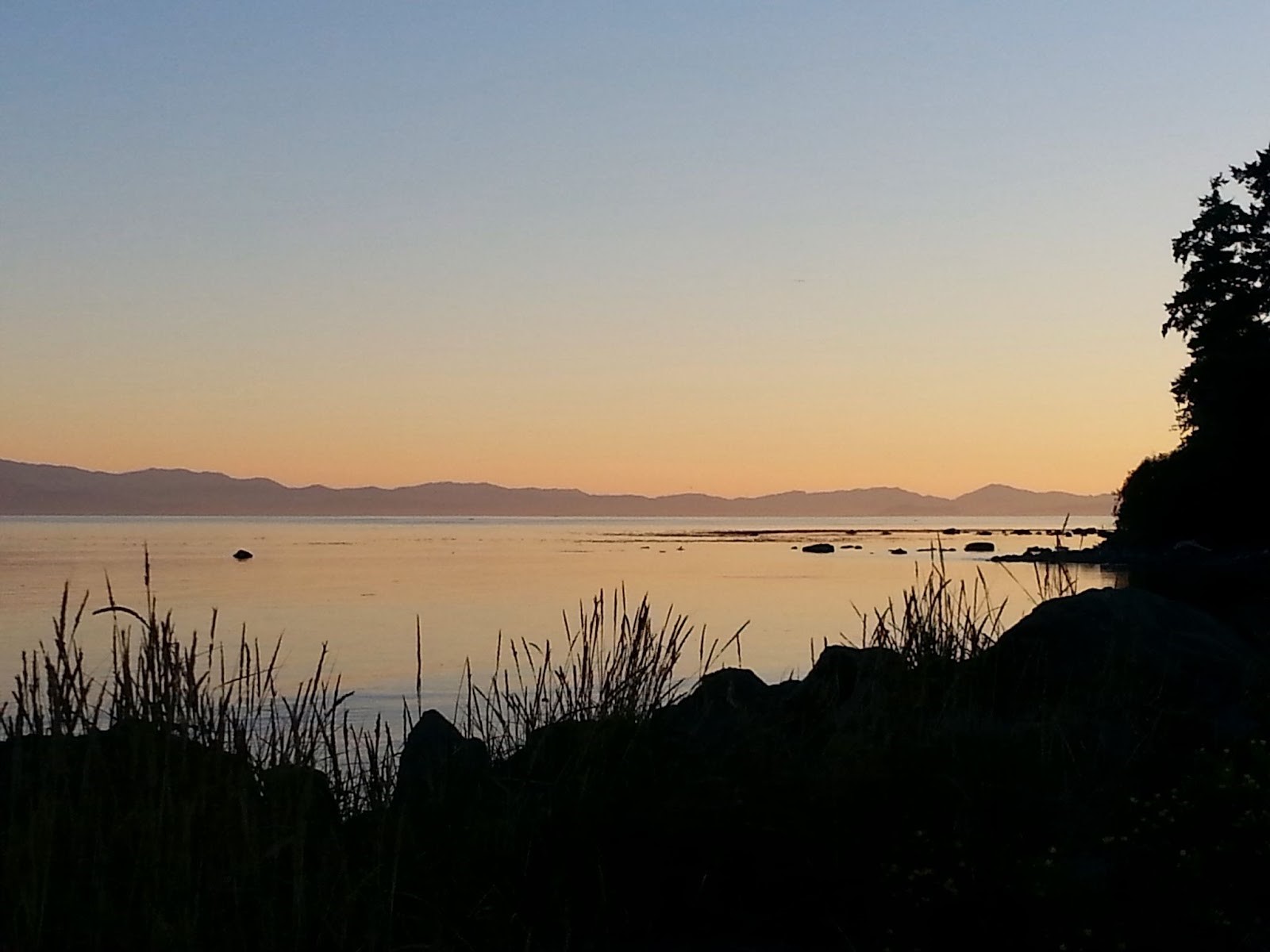 Photo of Sooke Harbour as the sun goes down. By Anna Morrison